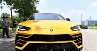 《疯狂动物园》暗黑野牛抓捕攻略(如何捕捉暗黑野牛属性图鉴,提高游戏战斗力)