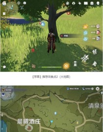 原神风拳先锋军攻略(如何击败风拳先锋军?-以实战为主)