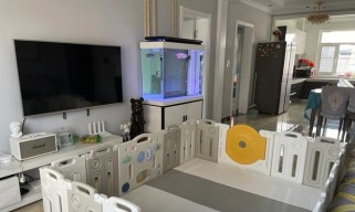 超级围栏出装攻略大全(从入门到精通,轻松掌握最佳装备搭配!)